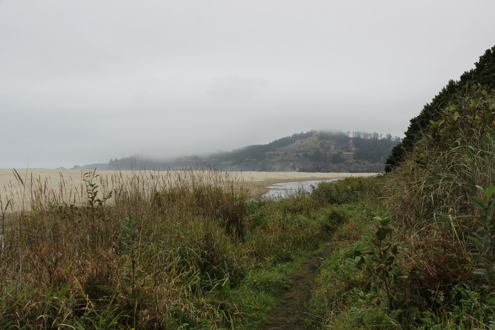 View