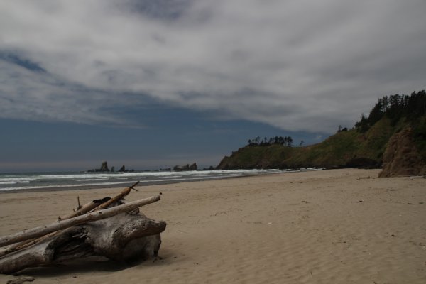 Crescent beach view