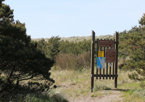 Trail