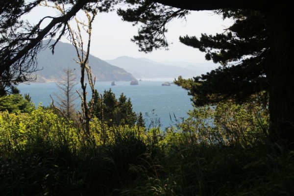 View
