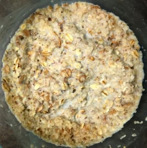 hot cereal