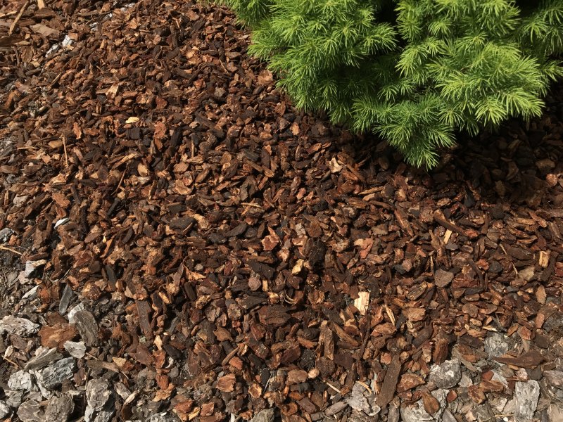 fresh mulch.