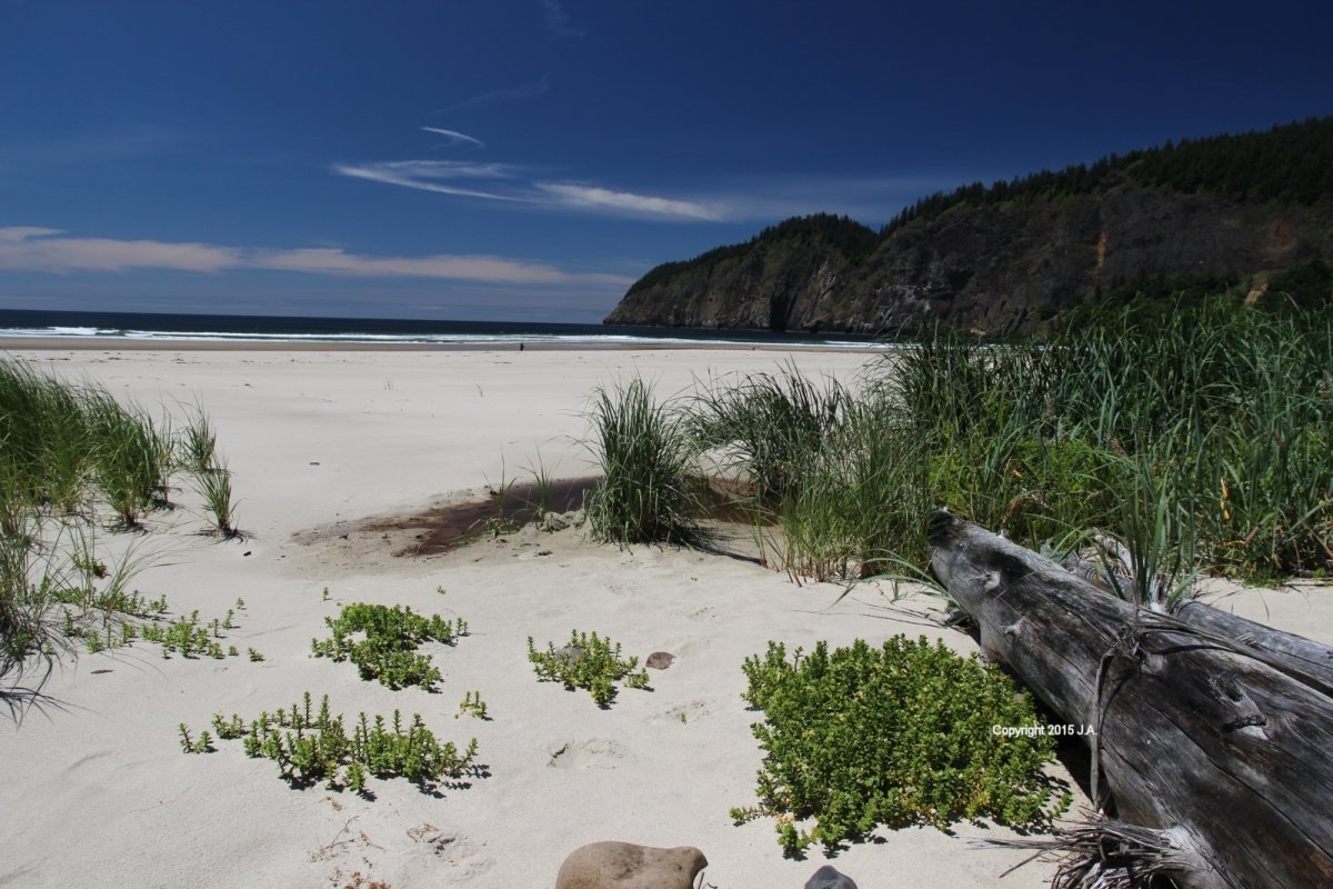 Cape Lookout